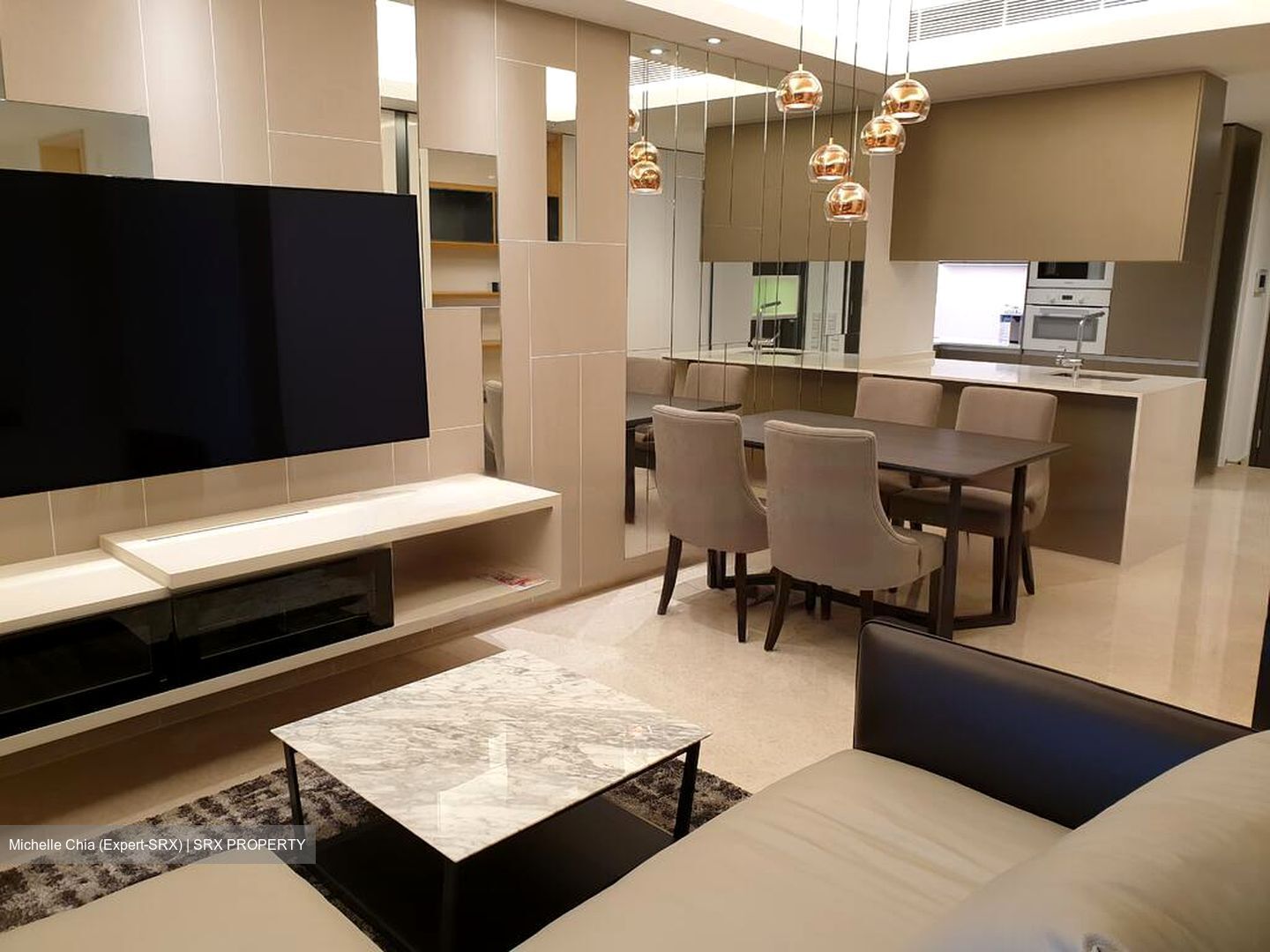 Cairnhill Nine (D9), Apartment #461727021